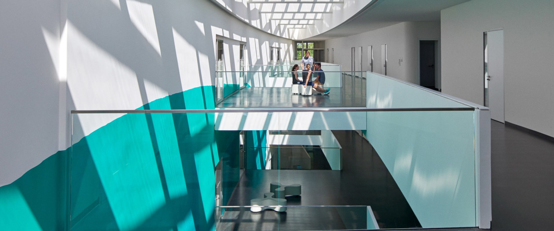 Utilizing Natural Light and Space for Home and Commercial Renovations
