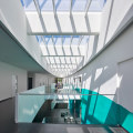 Utilizing Natural Light and Space for Home and Commercial Renovations