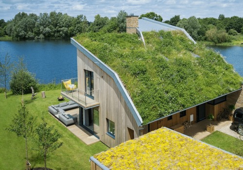 Incorporating Sustainable and Eco-Friendly Elements in Home Renovation and Construction